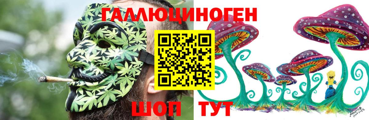 Курчалой  Галлюциногенные грибы MAGIC MUSHROOMS  Галлюциногенные грибы GOLDEN TEACHER  Вход с VPN 